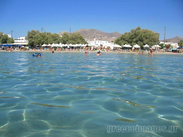 Naxos Edem Studios & Apartments Naxos City エクステリア 写真